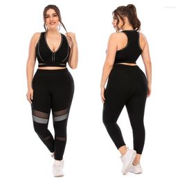 Vêtements de sport Combinaison de fitness en plein air Vêtements de yoga grande taille Pantalon skinny Soutien-gorge de sport Sexy Natation Surf