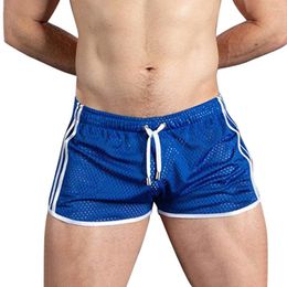 Vêtements de sport W Ne télécommandé à séchage rapide et shorts respirants pour hommes maillots de bain