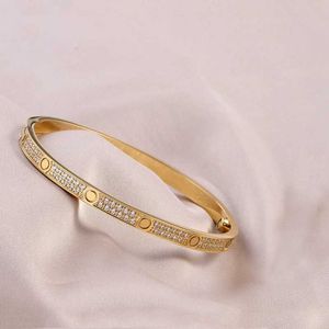 Gypsophila Volledige diamantarmband Rose Gold Bangle Titanium staal 2 rijen Strijnbakken armbanden originele charmes mode dames sieraden s224