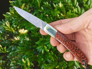 H2375 Couteau à lame pliante 67 couches Lame en acier Damas VG10 Snakewood avec poignée en laiton Camping en plein air Randonnée Couteaux de poche EDC