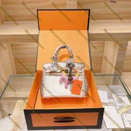 Haermes Birkinbag Designer Bags Birki Hermses Handbags Tote Birkis Alligator 25cm Totes Platinum Pony Lady Handsbag a 753