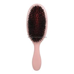 Brosses de cheveux Abody Poux Brosse Bristle OVAL NYLON MINI ABS ABS GANCE ANTISTATIQUE SAUVEMENT SAUVEUR CHAUPHE SALON SALON TOL DU TOUCHE PRO OTGAL