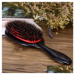 Haarborstels Professionele ovale antistatische paddle -kam hoofdhuid Mas Hairbrush Styling Tool Boar Borde Nylon Brush Drop levering Product Dheuz