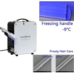 Soins capillaires Machine congelée soins après permanente et teinture des cheveux glace lisseur cheveux congelés traitement du cuir chevelu équipement de Salon