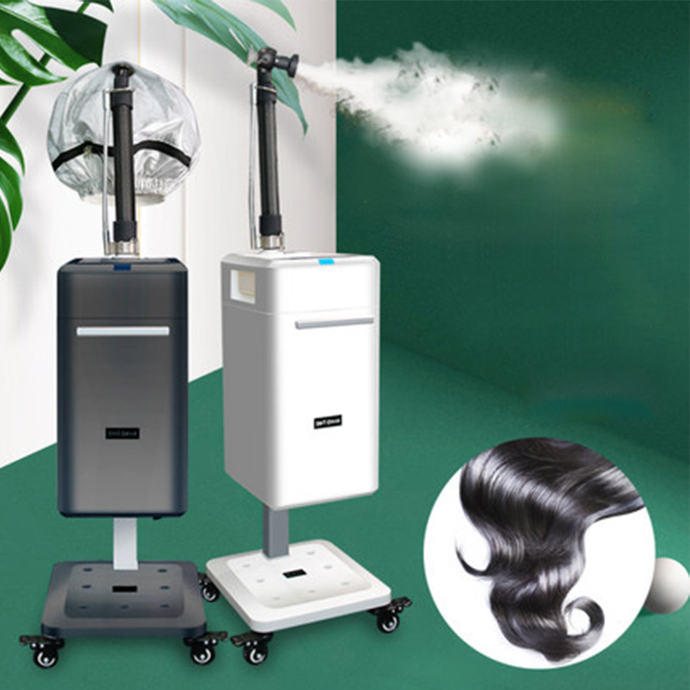 Hårvård ultraljud Micro Mist Snabb upp färgfärg och behandling Nano Hair Steamer