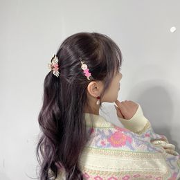 Haarclips Bronrettes Haarspeldset Sailor Moon Twodimensionale anime rond zoete en schattige hoofdkleding Girls Hair Accessoires Clips 230112
