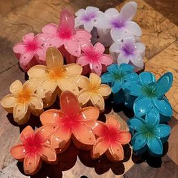 Haarclips Bruiltes Sweet Flower Claw Dames eierhaai clip snoepkleur grote gradiënt krab emmer vintage hoofddeksels