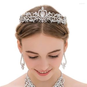 Pinces à cheveux mariée princesse cristal autrichien diadème mariage couronne voile épingles accessoires