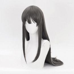 Pinces à cheveux Rascal ne rêve pas de fille Senpai Sakurajima Mai Cosplay perruque synthétique longue droite gris perruques casquette