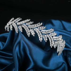 Pinces à cheveux en zircone, diadème, couronne, bandeau pour mariées, coiffure élégante, accessoires de mariage, bijoux de mariée