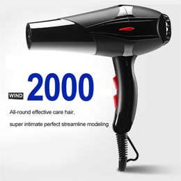 Sèche-cheveux 11022V Strong Wind Anion Dryer for Household Cold Portable Power Power Salon Style Blow 230821