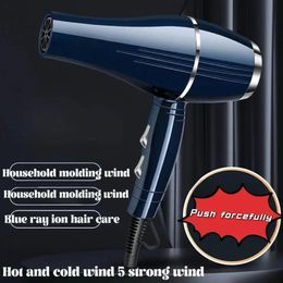Hair Salon Electric Hair Dryer Huishoudelijk Anion Hair Care High Power Barbershop Special Large Wind Quick Drying Mute Winddroger 240530