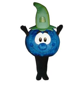 Costume de mascotte de myrtille d'Halloween Personnalisation de dessin animé Fruit Thème d'anime Personnage de Noël Déguisement de fête Carnaval Unisexe Adultes Tenue