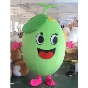 Halloween schattige meloen mascotte kostuum cartoon fruit anime thema karakter kerst carnaval party fancy kostuums volwassenen maat verjaardag outdoor outfit