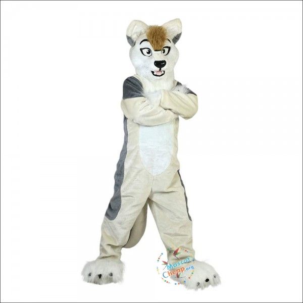 Halloween gris renard chien Husky mascotte Costume lapin de Pâques en peluche costume thème déguisement publicité fête d'anniversaire Costume tenue