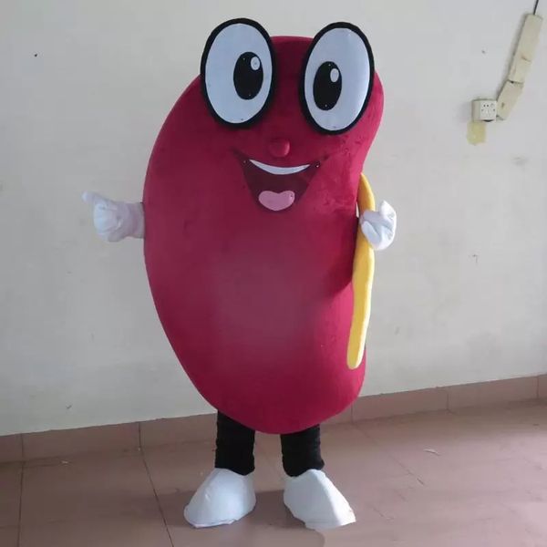 Costume de mascotte de rein sain d'Halloween de haute qualité Personnaliser le personnage de thème d'anime de dessin animé Taille adulte Fête d'anniversaire de Noël Tenue fantaisie