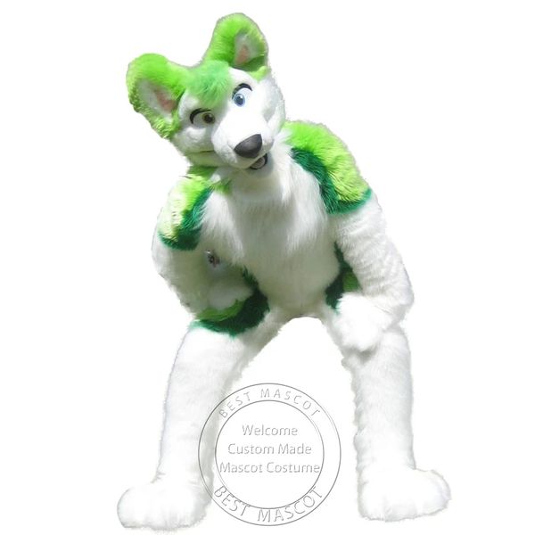 Halloween Offres Spéciales Costume de mascotte Husky vert pour la fête personnage de dessin animé mascotte vente livraison gratuite support personnalisation