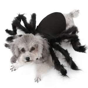 Halloween Pet Dog Clots Spider Spider Formit Up for Small Dogs Cats Cosplay Funny Party Puppy Costume pour Chihuahua Yorkie 20122233