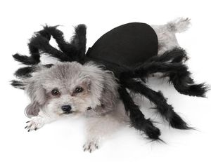 Halloween Pet Dog Clots Spider Spider Formit Up for Small Dogs Cats Cosplay Funny Party Puppy Costume pour Chihuahua Yorkie 20129062994