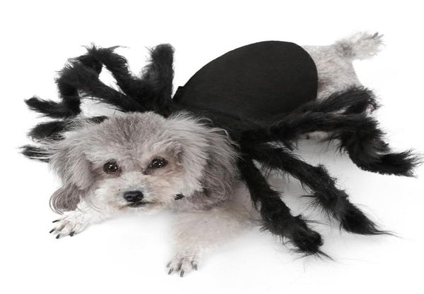 Halloween Pet Dog Clots Spider Spider Formit pour les petits chiens Cosplay Costume de chiot de fête drôle pour Chihuahua Yorkie 20125688477
