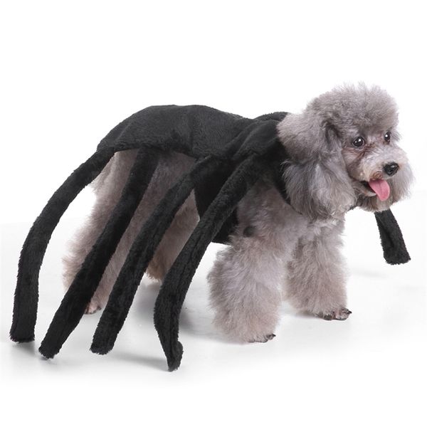 Halloween Pet Dog Costume Vêtements Big Spider Costume Vêtements Pour Chiens Chihuahua Vêtements Pet Produit Vêtements Pour Roupa para 201111