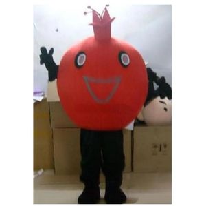 Costume de mascotte de la grenade Halloween Costume de haute qualité dessin animé Anime du thème du thème de Noël Carnaval Adultes Party Fancy Tenue de fantaisie