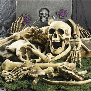 Halloween Skeleton Bones 28 stuks Halloween Prop Skeleton Skull Haunted House Horror Prop Party Decorations Tricky Bones Skull C0242U