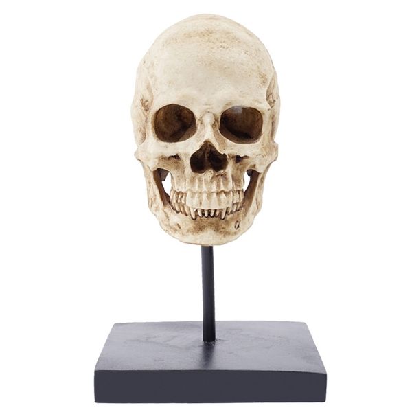 Juguetes de Halloween HeyMamba gótico cráneo humano estatua escultura pantalla esqueleto cabeza modelo Halloween decoración pografía accesorios 220908