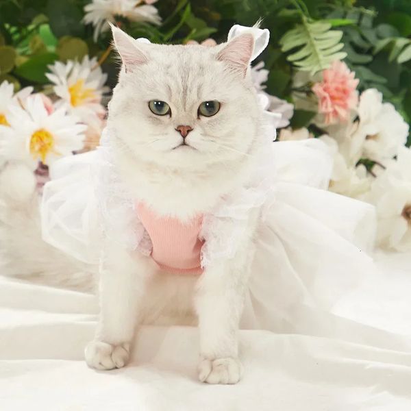 Halter Lace Cat Falda Sari Perro Vestidos de novia Vestidos Ropa para mascotas Ropa para gatos Accesorios 240226