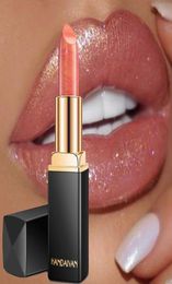 Handaiyan Brand Professional Lips Makeup Imperproofing Long Lasting Pigment Nude Pinde Sirène Sinage Lips de luxe MAKUP2006861