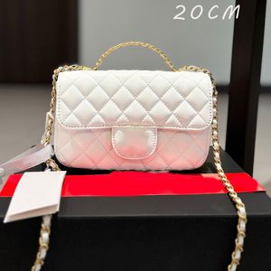 Gandoue des sacs à main designer pour femmes Sac à bandoulière Luxurys Sacs Pink Tote Mini 20 sacs de boucle avec sac à poussière Cadeaux d'été Mode décontractée Beaucoup de styles portefeuilles pour femmes