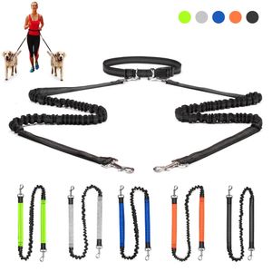 Mains libres 2 laisses de chien Bungee rétractable animal de compagnie en cours d'exécution taille laisse pour la marche jogging formation randonnée pour les grands chiens fournitures 240115