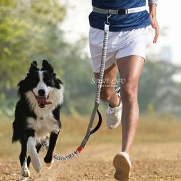 Laisses mains libres pour chien, pour la course, la marche, l'entraînement, la randonnée, double poignée réfléchissante, poignée en mousse élastique, PS03