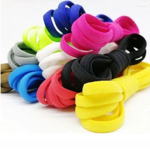 Hangers Elastic No Tie Shoelaces Multicolor schoenveters voor kinderen en volwassen sneakers schoenvinden snel luie metalen slotreeksen