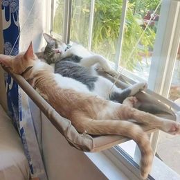 Suspendu au lit de chat animal hamac aérien chats maison chaton chigle d'escalade