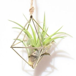 lucht plant houder opknoping tillandsia lucht planten rack metalen geometrische ijzeren kunst bloem plantenbak tuinieren accessoires thuiskantoor decoratie