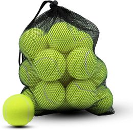 HappyFun balles de Tennis 10 Pack balles de Tennis d'entraînement balles de pratique haute élasticité chien de compagnie balles de jeu fit 240113