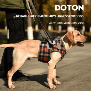 Harnais réglable pour chien, gilet de soutien pour pattes arrière, pour chiens de taille moyenne et grande, personnes âgées handicapées, blessures articulaires, arthrite, paralysie, promenade des chiens