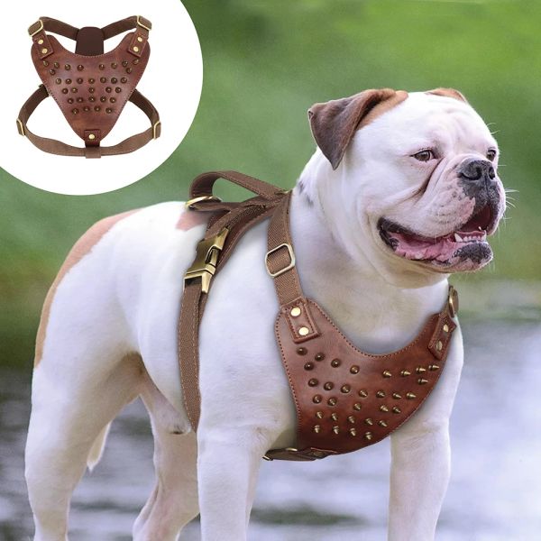 Harnais Harnais pour chien clouté à pointes Cool, gilet en cuir Durable pour chiens de taille moyenne et grande, Pitbull Bulldog Boxer, accessoires