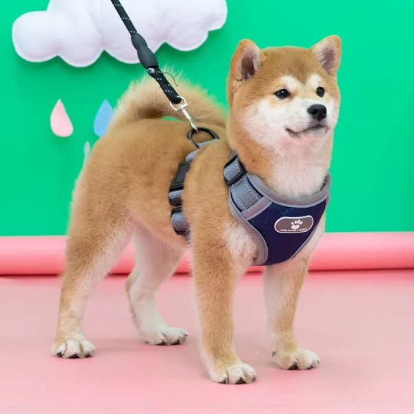 Harnais de poitrine pour chien, corde de Traction, style gilet, antidéflagrant, rouge, fournitures pour animaux de compagnie de taille moyenne, collier Shiba Inu pour petits chiens