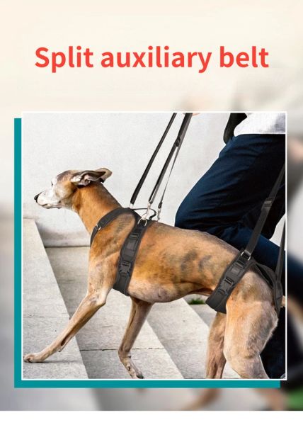 Harnais harcèlement pour chien harnais réglable du harnais à élingue pour chiens