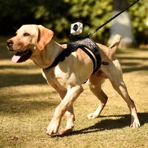 Harnais pour chien, caméra d'action Gopro, vidéo de sport pour animaux de compagnie FPS, sangle de poitrine pour chien, stabilisateur d'épaule pour chiens de taille moyenne et grande, fournitures pour animaux de compagnie