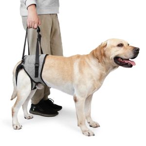 Harnais le harnais de lifting pour chiens harnais de soutien aux chiens avec des pattes à dos mous pour les jambes à dos élingue pour chiens ajusté pour les chiens handicapés plus blessés