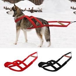 Harnais Harnais de Traîneau pour Chiens Durable Doux Rembourré Harnais de Traction pour Chiens Harnais de Traîneau pour Chiens d'entraînement pour Chiens de Taille Moyenne et Grande Skijoring