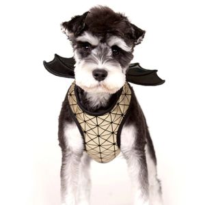 Harnais Dragon doré pour chien, collier avec ailes du diable, Costumes d'halloween pour petit chien, vêtements pour chat, chiot, conception de chauve-souris de noël, laisse pour chat