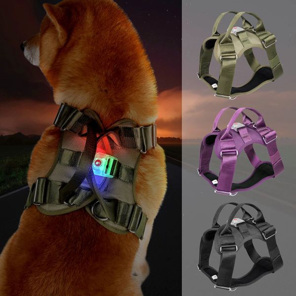 Harnais Harnais pour chien à LED Harnais réglable en nylon pour animaux de compagnie Harnais à LED Flash pour chiens Gilet lumineux à LED pour chiens de taille moyenne et grande Pitbull