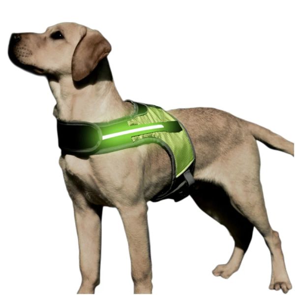 Harnais avec lumières LED pour chien, sangles de poitrine, harnais de marche nocturne, gilet réfléchissant pour chiens de taille moyenne et grande, Husky Shepherd Labrador, fournitures pour animaux de compagnie