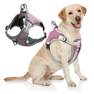 Harnais Harnais pour chien de compagnie réfléchissant en nylon réglable collier à pression gilet de sécurité anti-perte chiens sécurité nocturne réfléchissant la lumière pour chats gilet