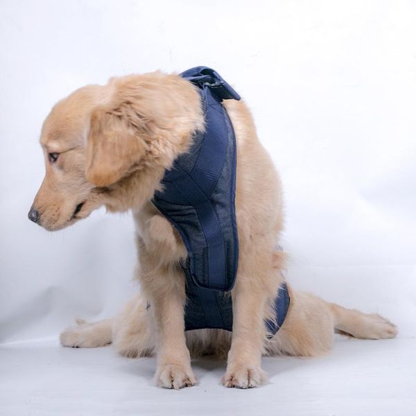 Harnais de protection pour vieux chien, harnais de soutien de levage, sangles d'aide utiles avec poignée pour les pattes arrière blessées, chiens XS/S/M/L/XL