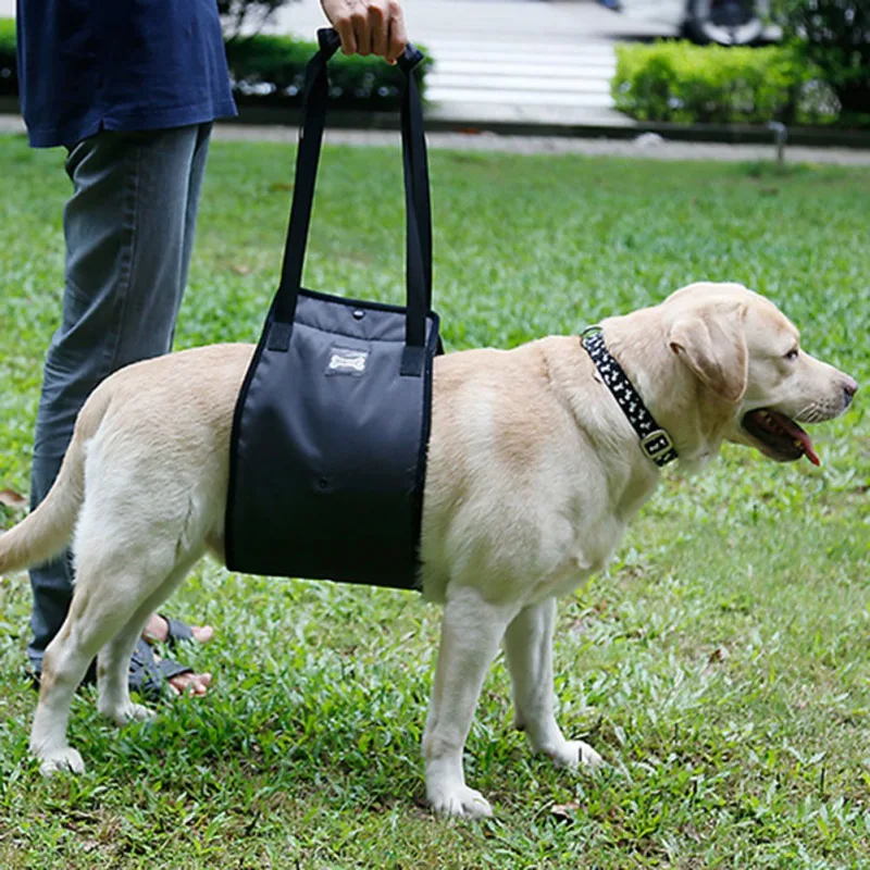 Arneses Eslinga portátil para perros para patas traseras Arnés de soporte para la cadera para ayudar a levantar la parte trasera de los perros para ayuda canina y rehabilitación de ligamentos para perros viejos